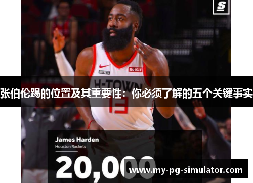 张伯伦踢的位置及其重要性:你必须了解的五个关键事实 张伯伦踢的位置及其重要性:你必须了解的五个关键事实