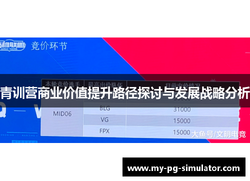 青训营商业价值提升路径探讨与发展战略分析 青训营商业价值提升路径探讨与发展战略分析