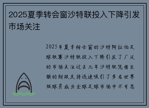 2025夏季转会窗沙特联投入下降引发市场关注 2025夏季转会窗沙特联投入下降引发市场关注